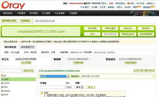 oray如何將我的域名指向我購買空間